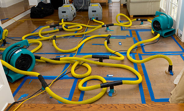 Professional Water Damage Restoration technician working in Connersville, IN